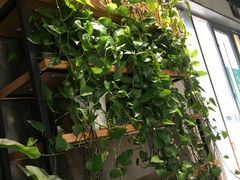 -罗莎蛋糕(奥山府店)