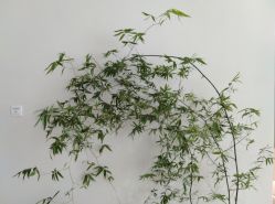 -颜蕾医美·黄金微针·水光·玻尿酸·超声炮·抗衰中心