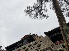 -山西会馆·晋菜·晋商宴·牌匾博物馆(胜利东街店)