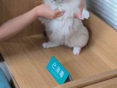 -美迦爱-牙专科·兔科·骨科诊疗中心(北苑店)