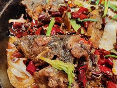 -老板恋上鱼(恒隆广场店)