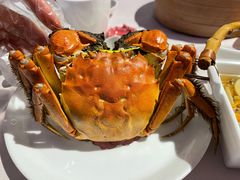 -蟹榭(静安寺晶品商场店)