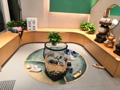 -飞行喵MR PILOT|猫舍·猫咖(静安大融城店)