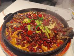 -老板恋上鱼(高新万达店)