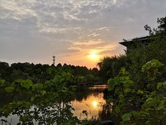 -上海怡沁园度假酒店