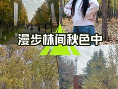 -汉景帝阳陵博物院