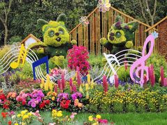 -上海共青森林公园