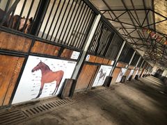 -大连凯洋马术俱乐部有限公司