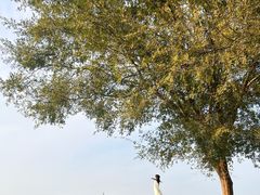 -良渚古城遗址公园