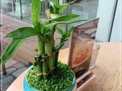 -自如ZSPACE四合院艺术餐厅