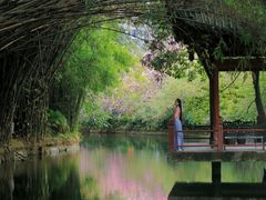 -棠湖公园
