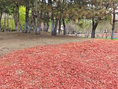 -黛秀湖公园