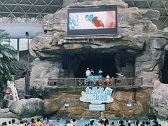 -杭州开元森泊度假乐园