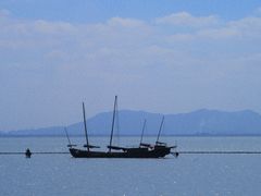 -贡湖湾湿地公园
