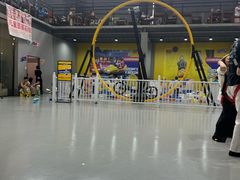 -天空之城蹦床攀岩运动馆·团建拓展·亲子游乐·生日派对(合肥店)