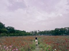 -南北湖风景区