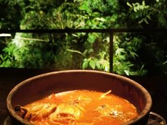 酸汤鱼-毛辣果·酸