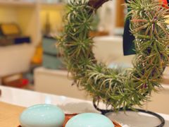 -隆德堂青瓷艺术·茶馆(故宫店)