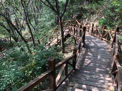 -大岭沟猕猴桃谷风景区