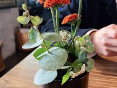 -Apollo·西班牙小酒馆(安福路店)