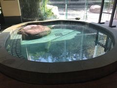 -天目湖涵田半山温泉