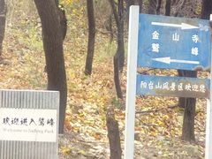 -北京鹫峰国家森林公园