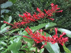 -福田红树林生态公园