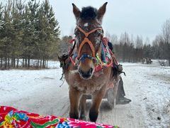 -北极村旅游风景区