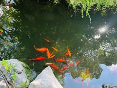 -南京民俗博物馆(甘熙故居)