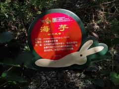 -呀诺达热带雨林