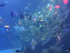 -鄂尔多斯野生动物园