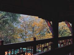 -丰都鬼城名山景区