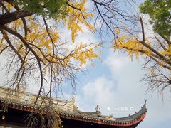 -西园戒幢律寺