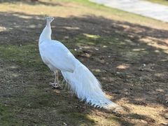 -鄱阳湖国家湿地公园