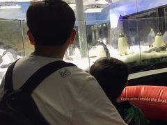 -悉尼海洋生物水族馆