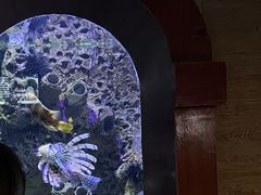 -太平洋海底世界