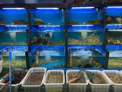 水产区-桔子海鲜烧烤大排档(金沙滩店)