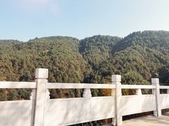 -铁山坪森林公园