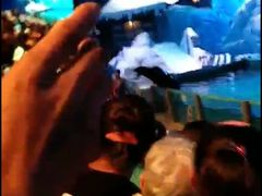 -大连圣亚海洋世界
