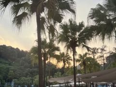 -重庆海昌加勒比海水世界