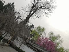 -西安青龙寺遗址景区