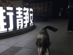 -金融街·静安中心