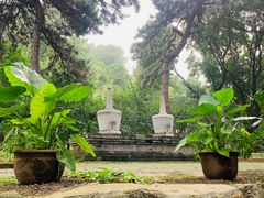 -红螺寺