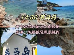 -东辰望海鱼码头·海鲜餐厅