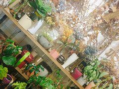 -缦云里花园餐厅