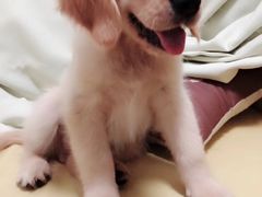 -沐沐家宠物(成寿寺店)