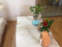 -成都苗方清颜专业祛痘