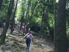 -火炉山森林公园