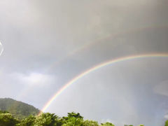 -热带雨林自然公园