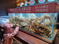 -雍容荟帝王蟹活龙虾展台自助(IFS黑金店)